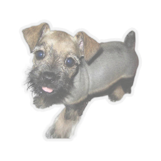 Miniature Schnauzer Sticker
