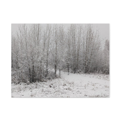 "Quiet" Canvas