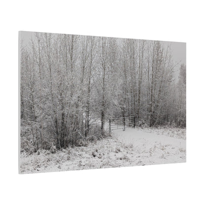 "Quiet" Canvas