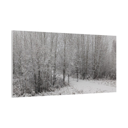 "Quiet" Canvas
