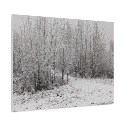 "Quiet" Canvas