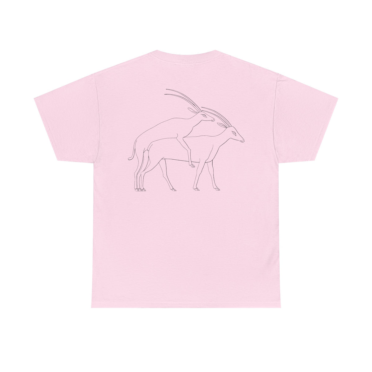 Gazelles - Assorted Colors