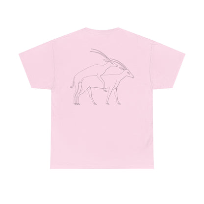 Gazelles - Assorted Colors