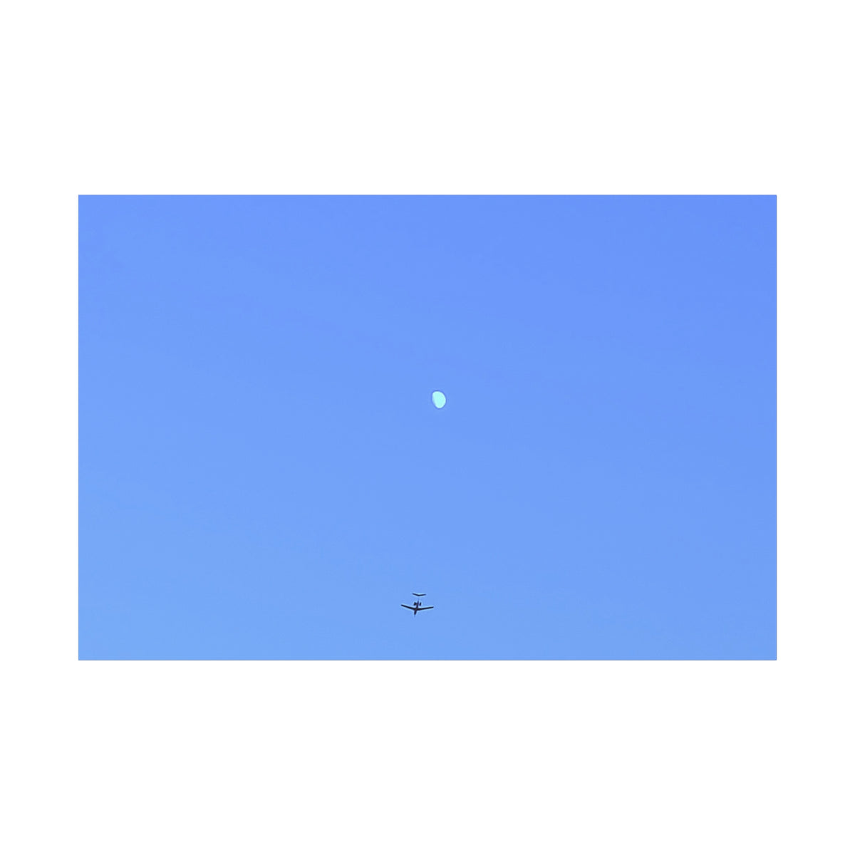 "To The Moon" (Blue) Canvas