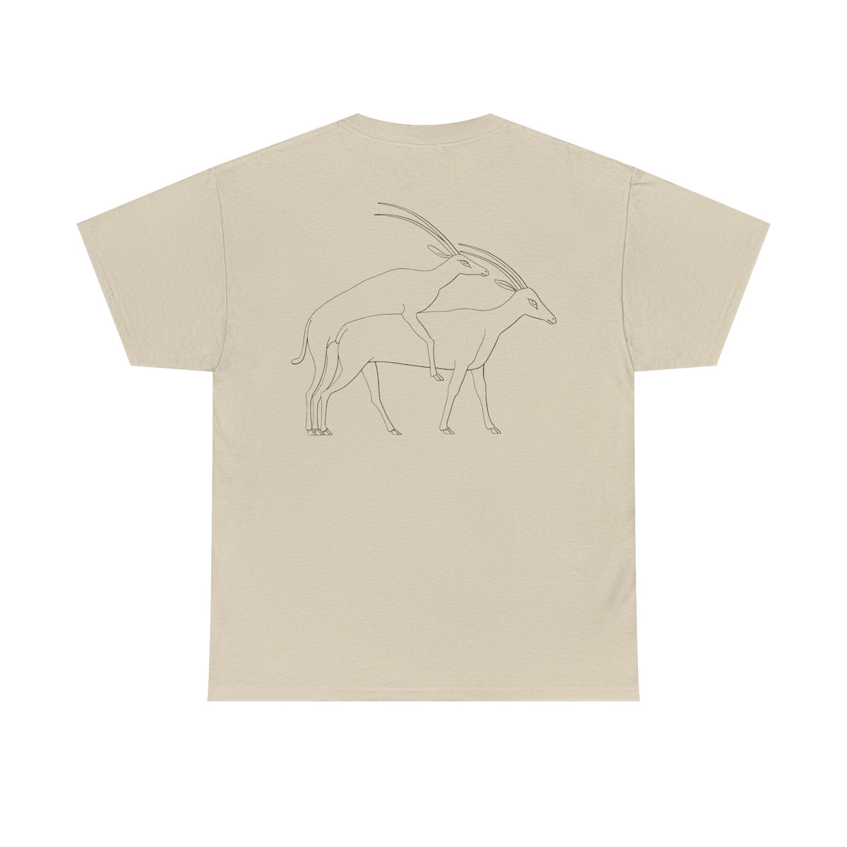 Gazelles - Assorted Colors