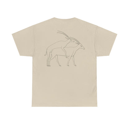 Gazelles - Assorted Colors