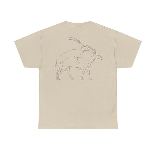 Gazelles - Assorted Colors