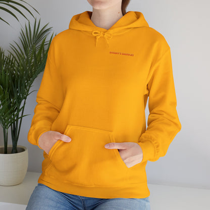 Baubles Pullover Hoodie - Chest Logo - Assorted Colors
