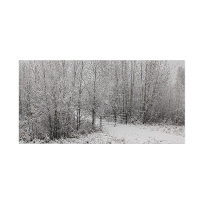 "Quiet" Canvas