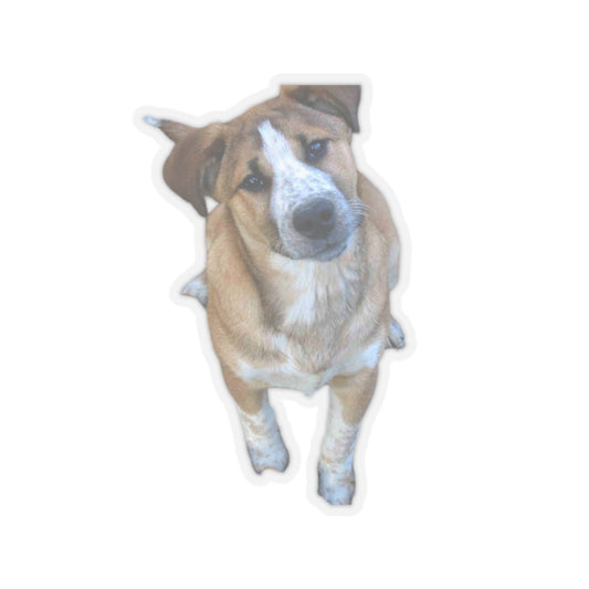 Rescue Dog Sticker