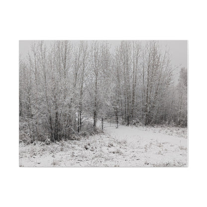 "Quiet" Canvas