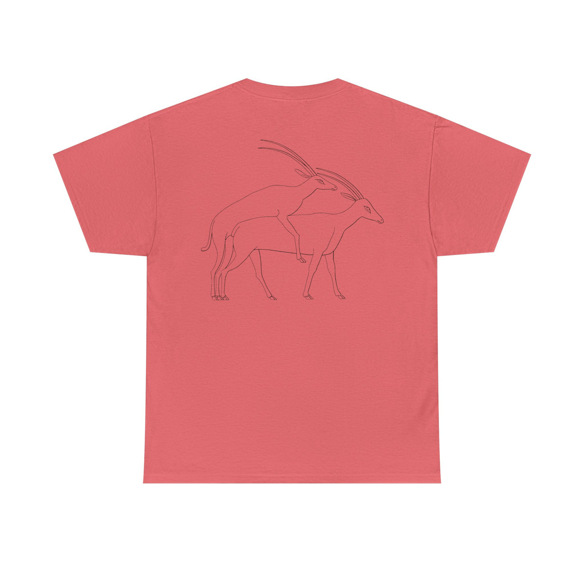 Gazelles - Assorted Colors