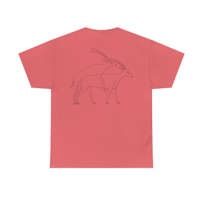 Gazelles - Assorted Colors