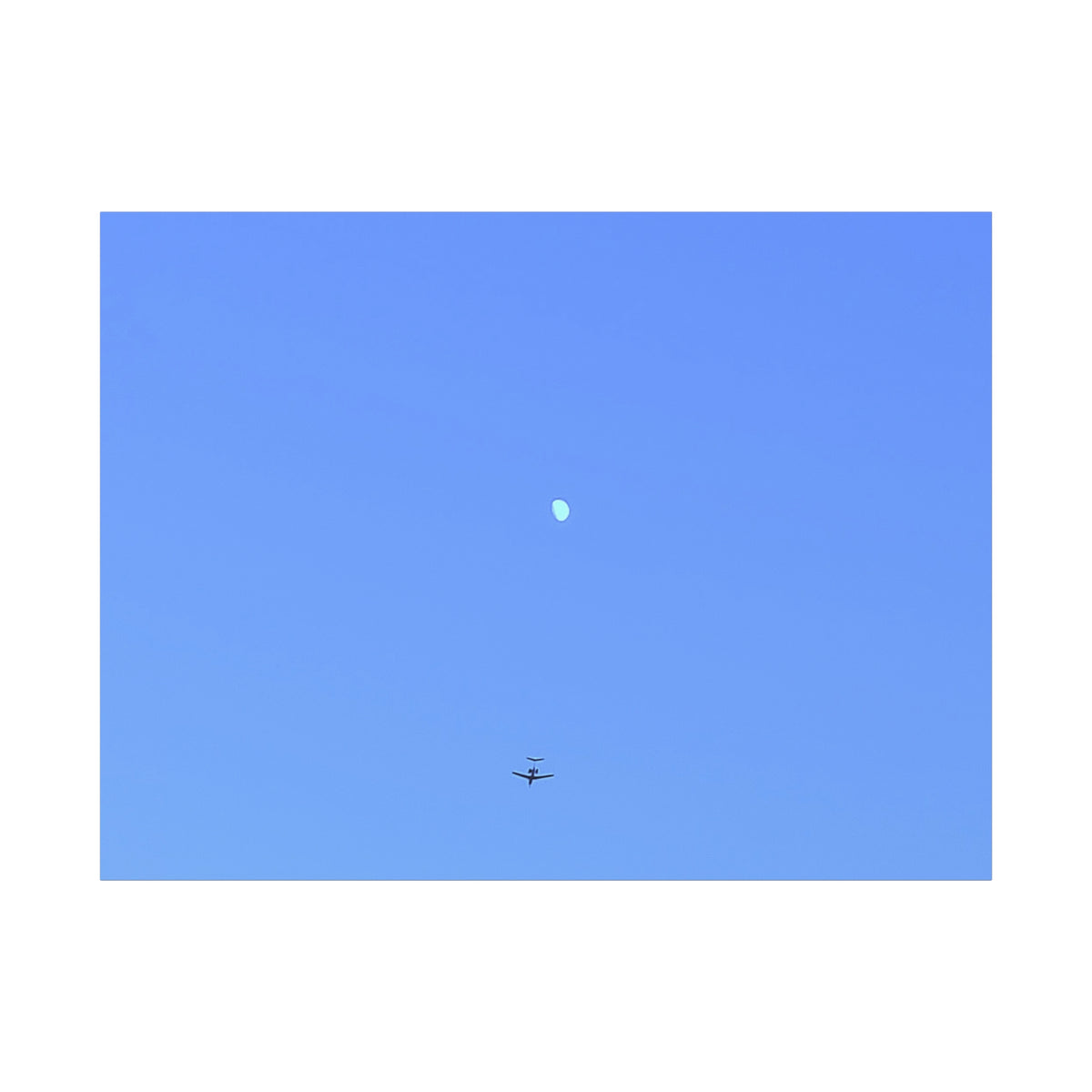 "To The Moon" (Blue) Canvas
