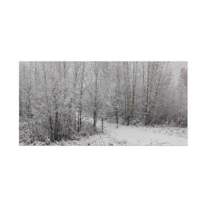 "Quiet" Canvas