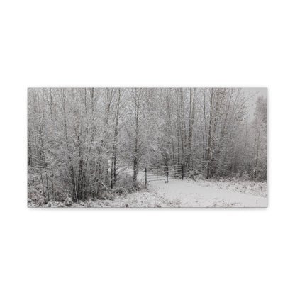 "Quiet" Canvas