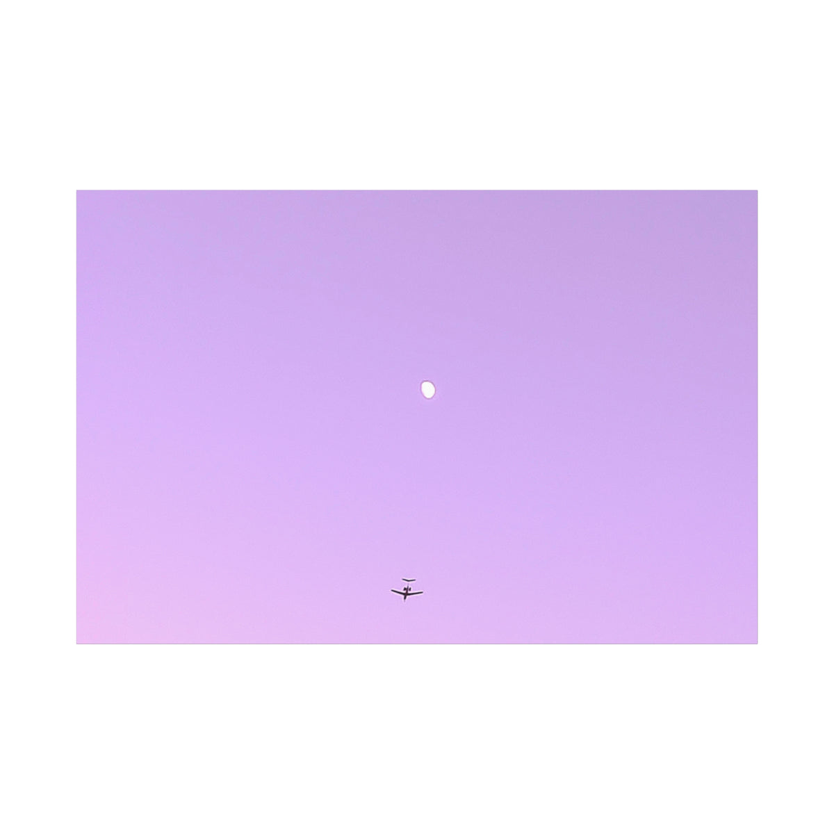 "To The Moon" (Purple) Canvas