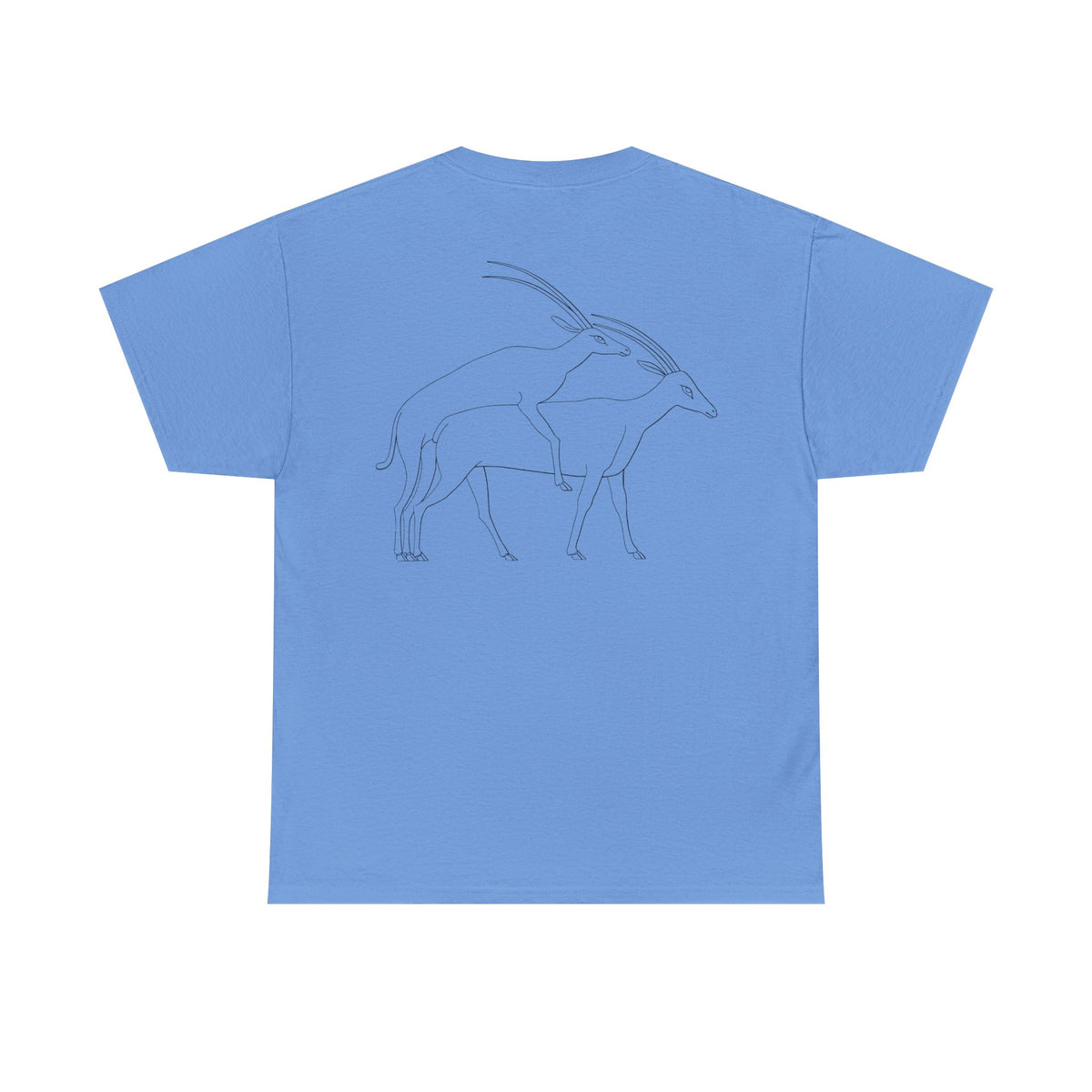 Gazelles - Assorted Colors