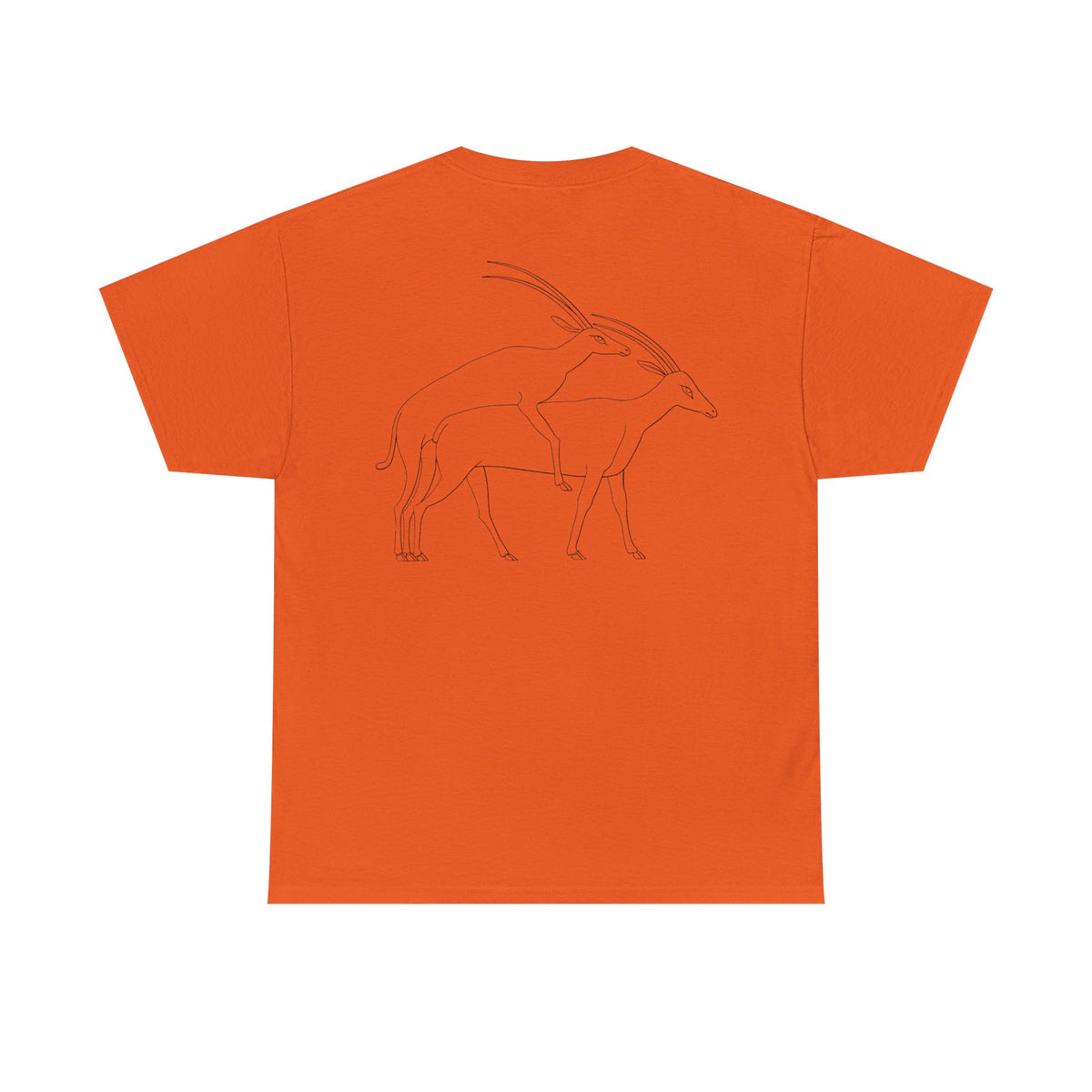 Gazelles - Assorted Colors