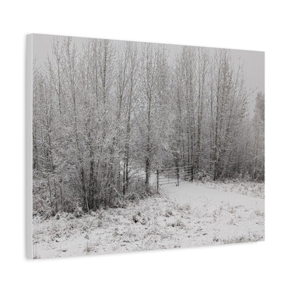 "Quiet" Canvas