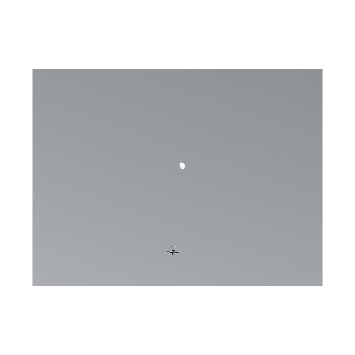 "To The Moon" (Gray) Canvas