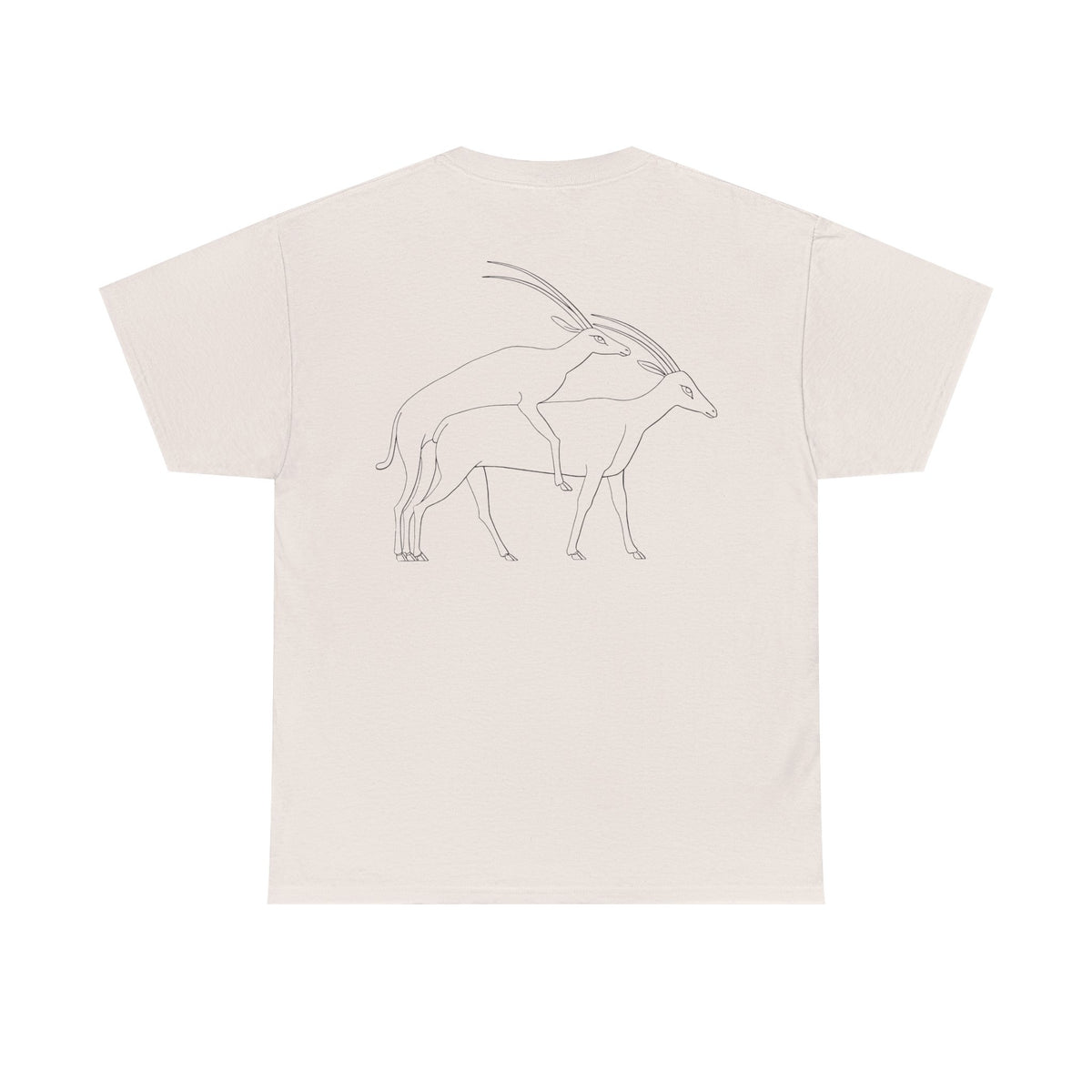 Gazelles - Assorted Colors