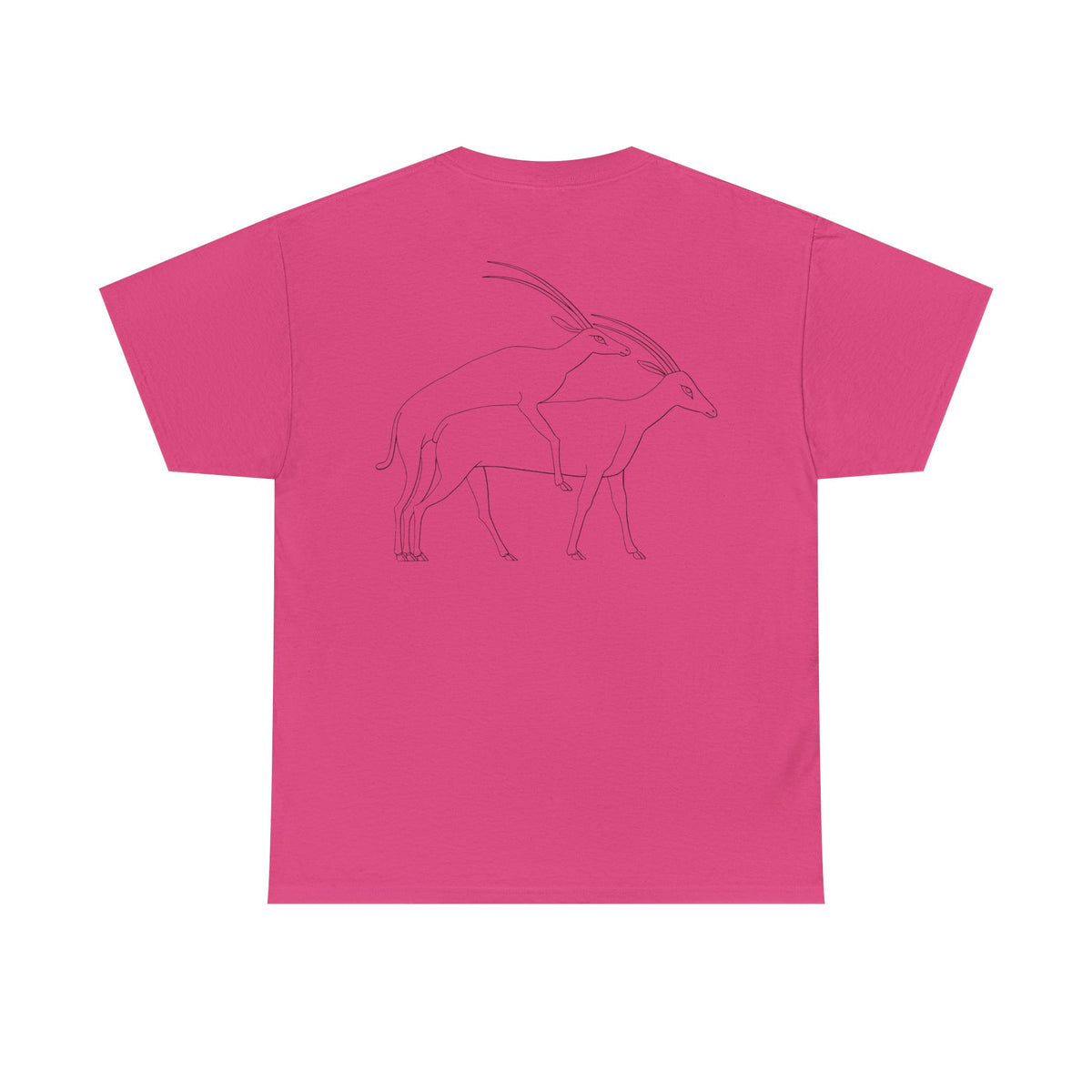 Gazelles - Assorted Colors