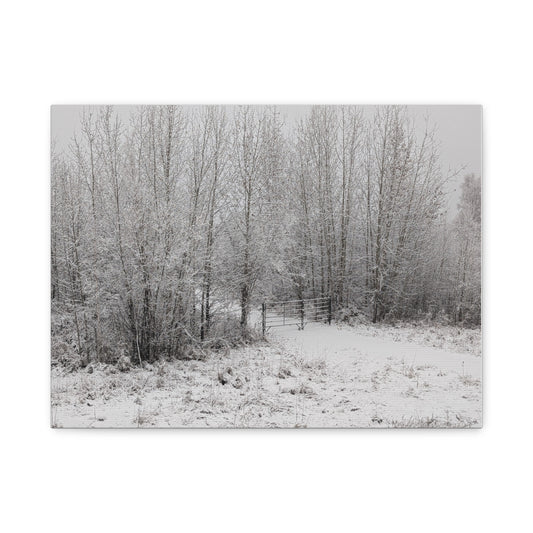 "Quiet" Canvas