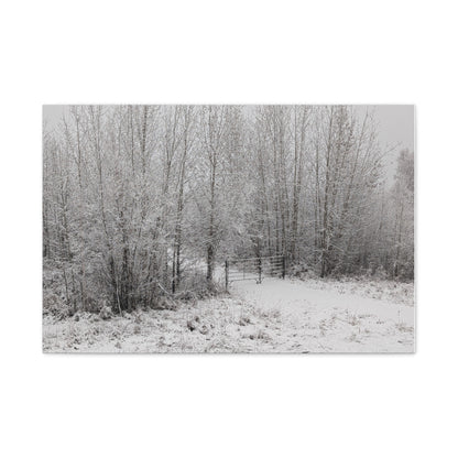 "Quiet" Canvas