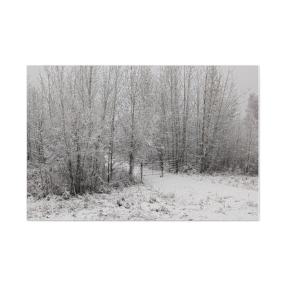 "Quiet" Canvas