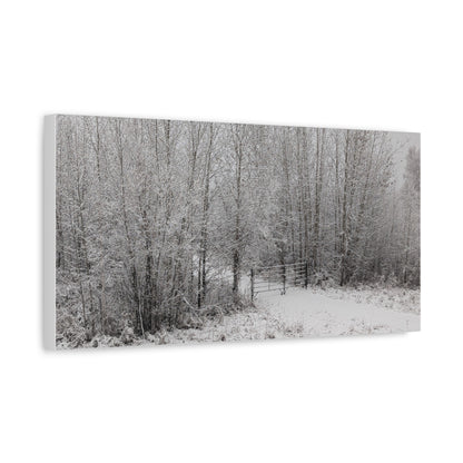 "Quiet" Canvas