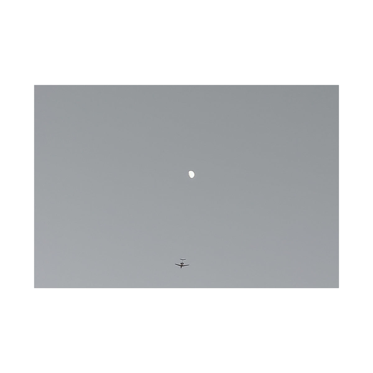 "To The Moon" (Gray) Canvas
