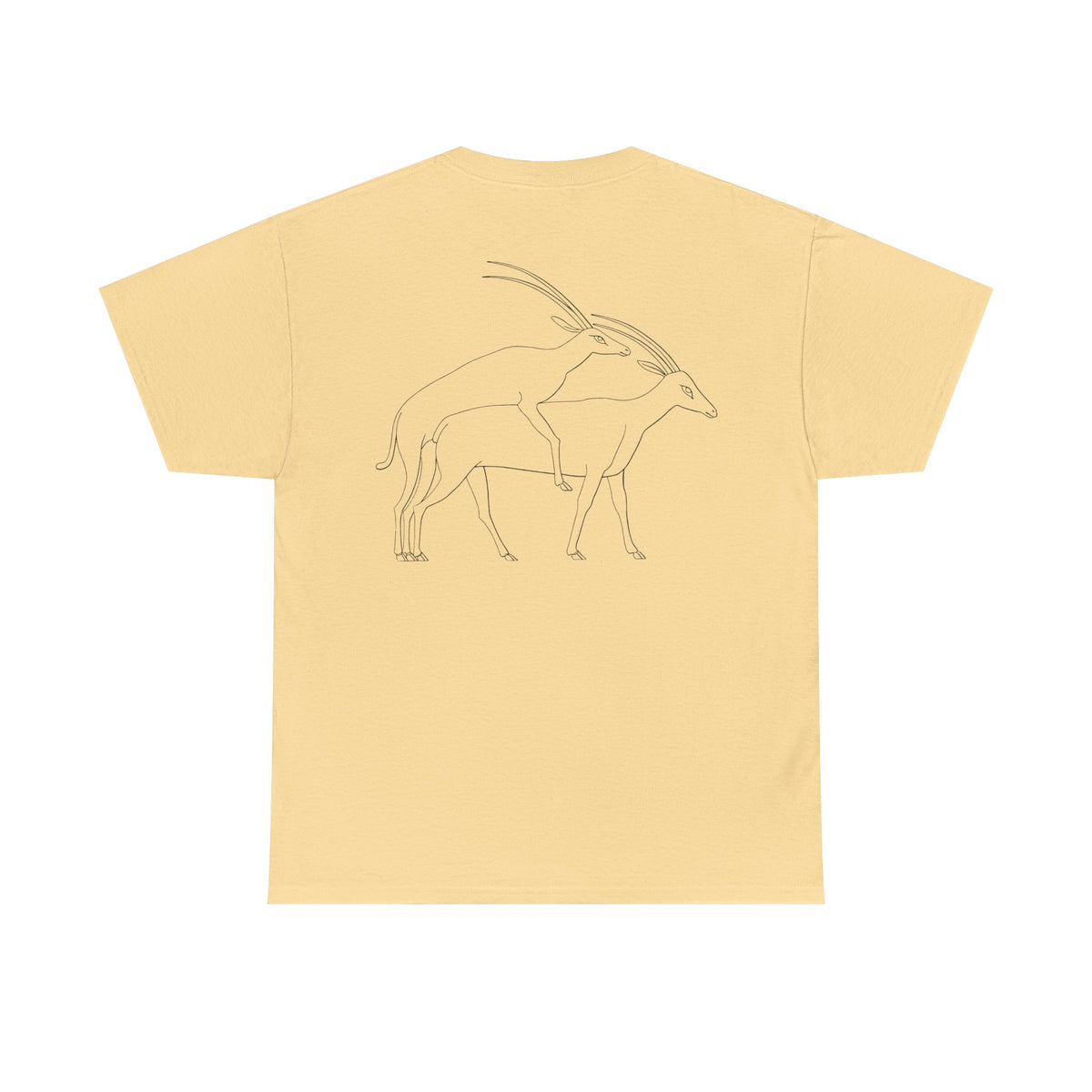 Gazelles - Assorted Colors