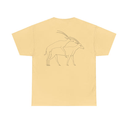 Gazelles - Assorted Colors