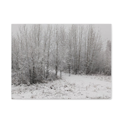 "Quiet" Canvas