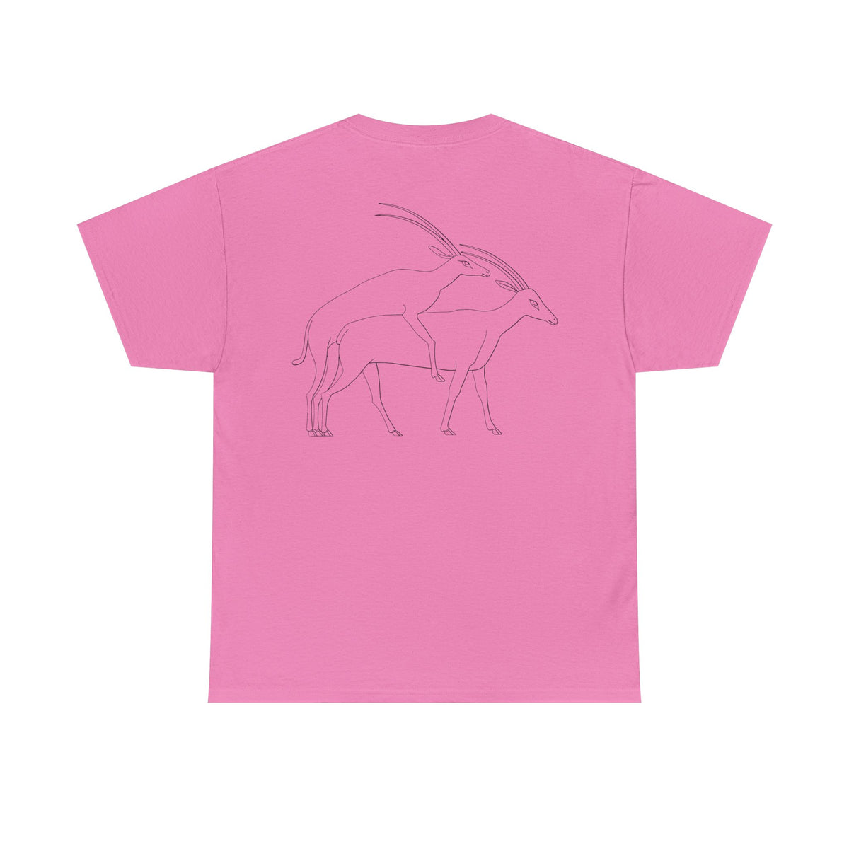Gazelles - Assorted Colors