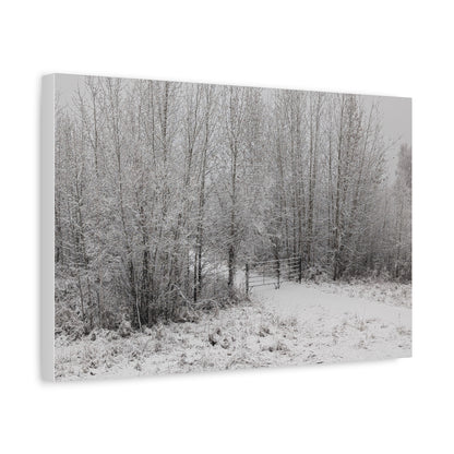 "Quiet" Canvas
