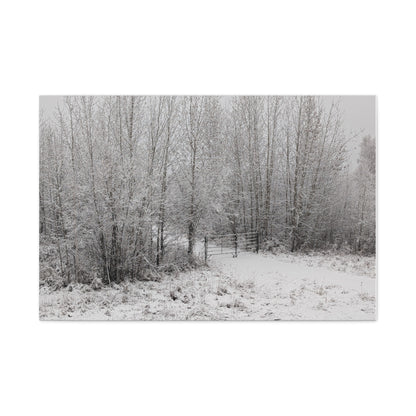 "Quiet" Canvas