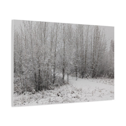 "Quiet" Canvas