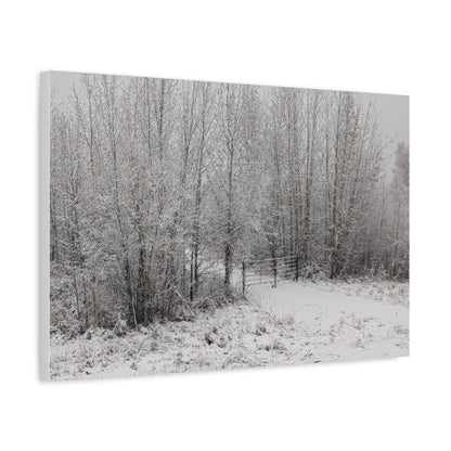 "Quiet" Canvas