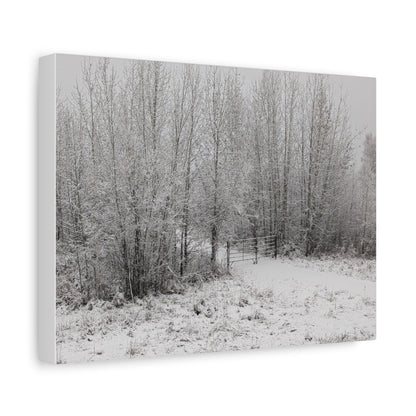"Quiet" Canvas