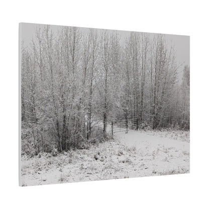 "Quiet" Canvas