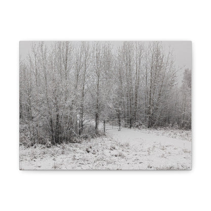 "Quiet" Canvas