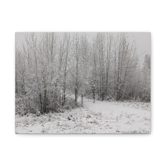 "Quiet" Canvas