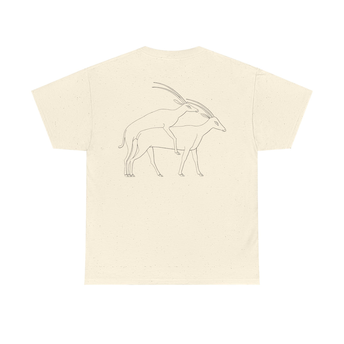 Gazelles - Assorted Colors