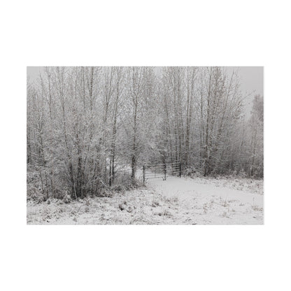 "Quiet" Canvas