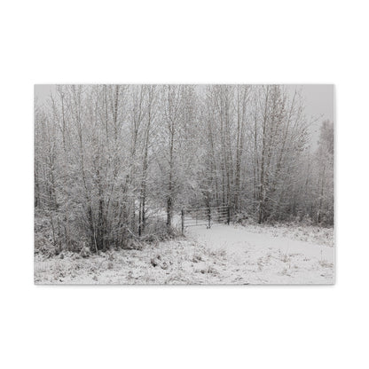 "Quiet" Canvas