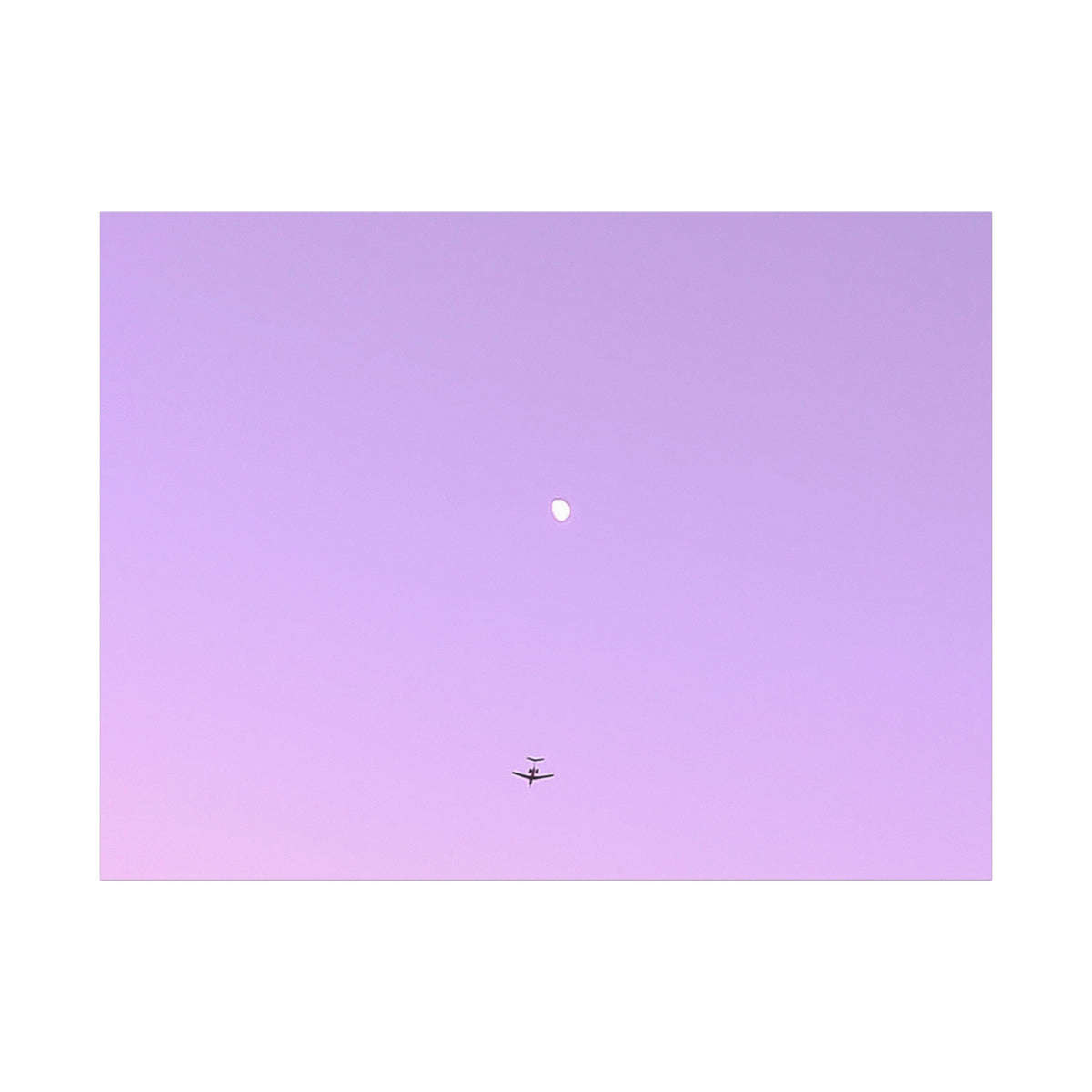 "To The Moon" (Purple) Canvas