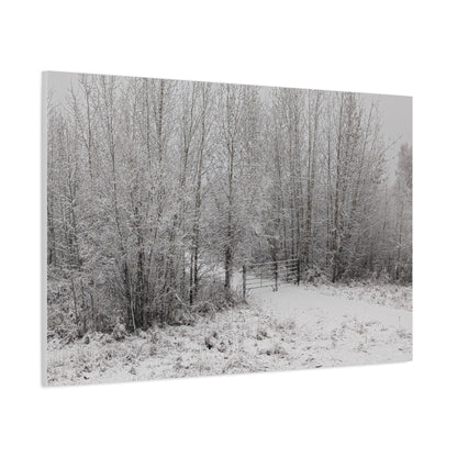 "Quiet" Canvas