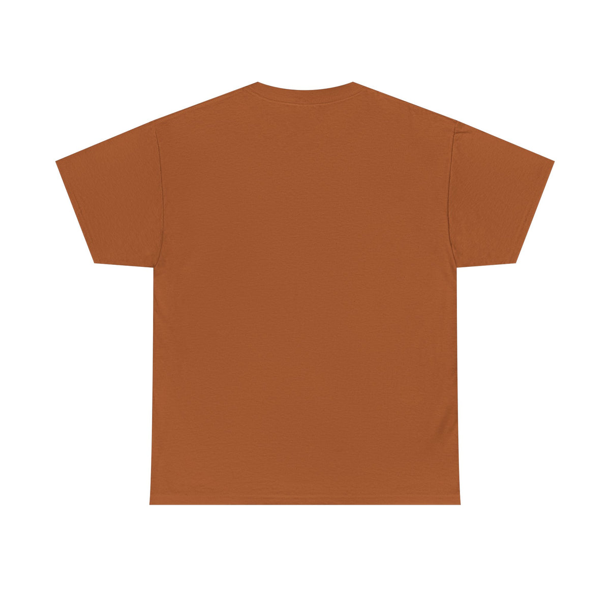 Plain T-Shirt - Assorted Colors